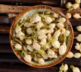 鮮茉莉花怎么炮制成茶？