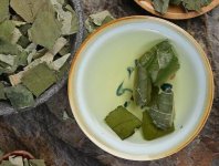 荷葉茶為什么叫短命茶？